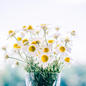 国产福利小视频在线播放
